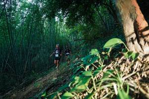 BIB: 
                            <button type="button" onclick="openModal(28124297)" class="btn btn-primary btn-sm float-right btn-popup" data-toggle="modal" data-target=".modal-high-quality">
                        <i class="fas fa-shopping-cart"></i> Add to Cart
                    </button>
                                            <button type="button" onclick="isThisMe(28124297, true)" class="btn btn-success btn-sm float-right btn-popup btn-isme hidden" data-toggle="tooltip" data-placement="bottom" title="นี่คือรูปของคุณใช่ไหม คลิกที่นี่เพื่อเอาเข้าอัลบั้ม">
                        <i class="fas fa-plus"></i> Add to album
                    </button>
                    <button type="button" onclick="isThisMe(28124297, false)" class="btn btn-warning btn-sm float-right btn-popup btn-isnotme hidden">
                        <i class="fas fa-ban"></i> Remove from album
                    </button>